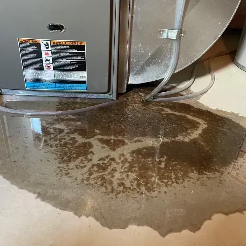 Appliance Leak Cleanup in Toluca, IL